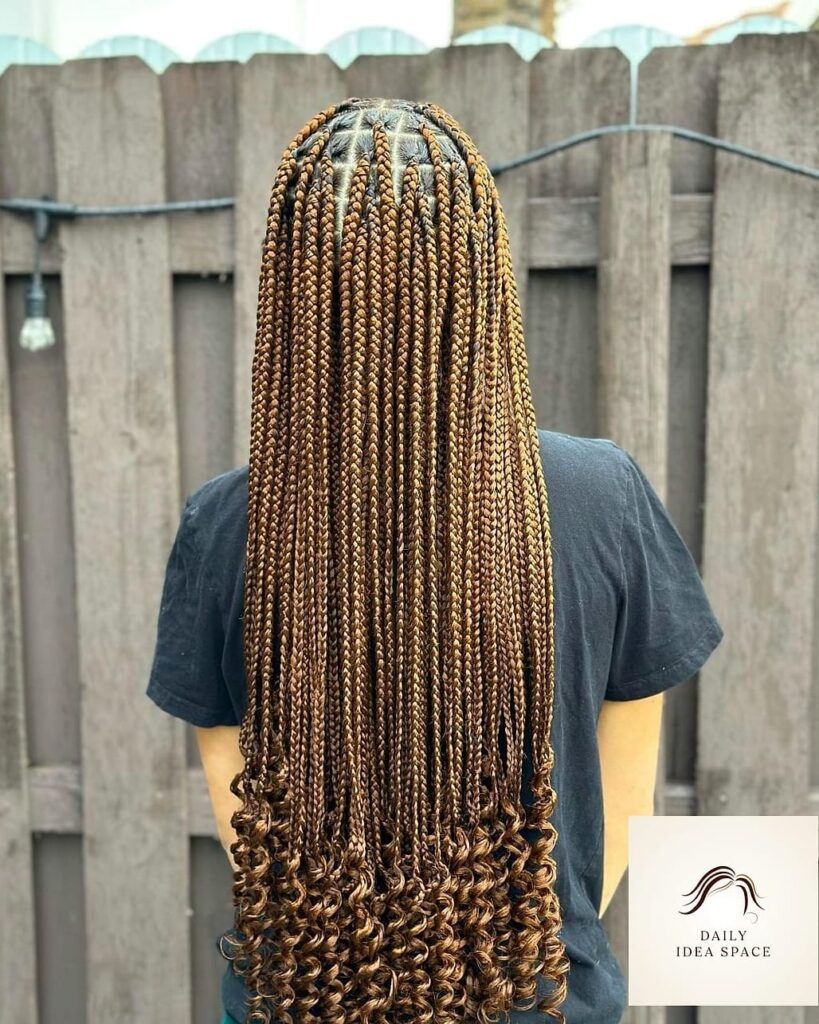 featured 2217