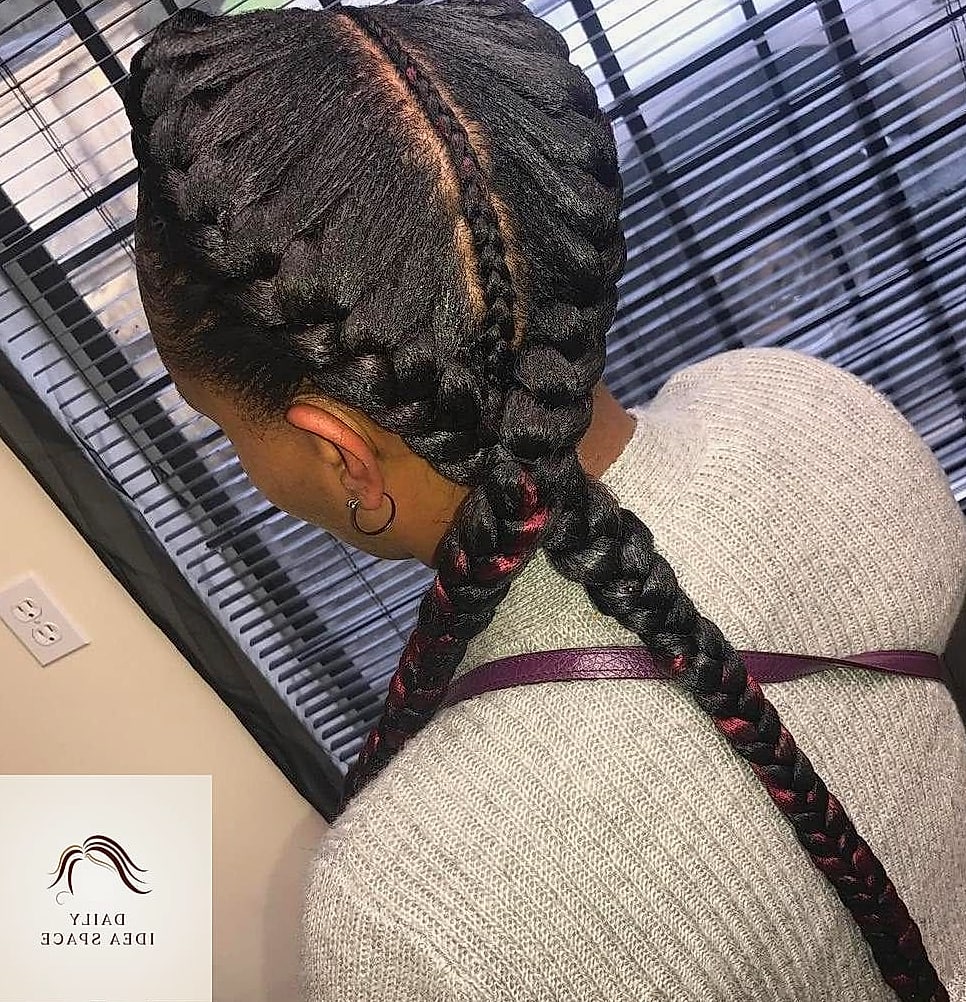 22 Two Braids Ideas That Will Transform Your Look 23 Asymmetrical Two Braids