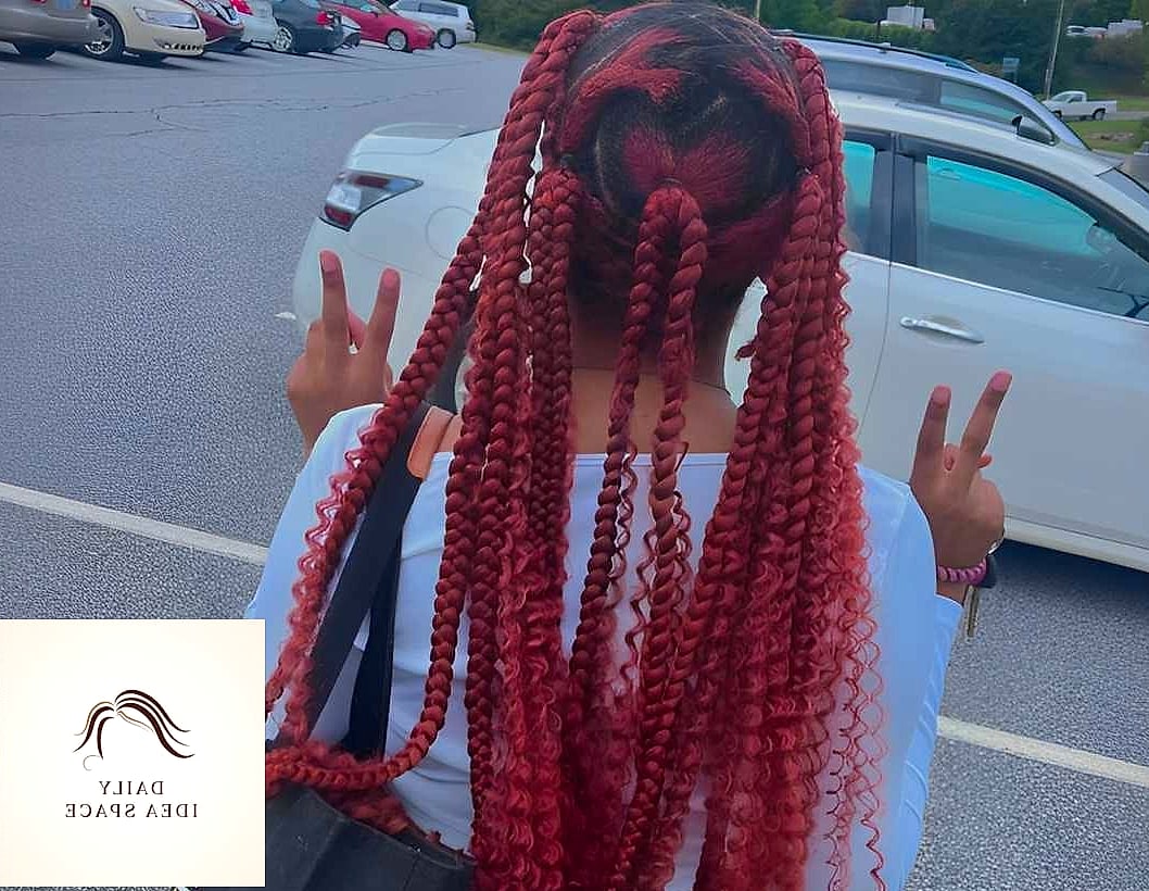 20 Jayda Wayda Braids Ideas That Are Breathtakingly Beautiful 4 Bohemian Knotless Braids