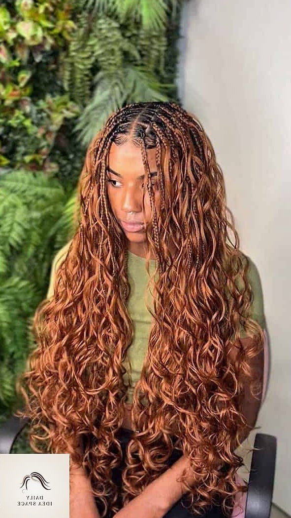 27 French Curls Braids Ideas That Every Stylist Needs to See 13 Boho French Curls