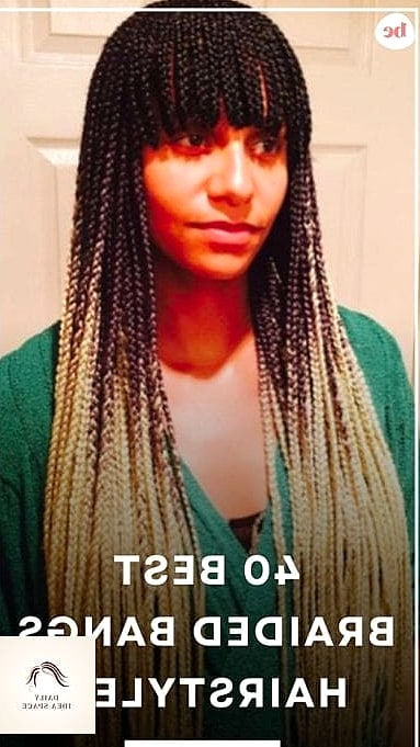 20 Braids Hairstyles Ideas That Will Make You Book Your Appointment Immediately 20 Braided Bangs