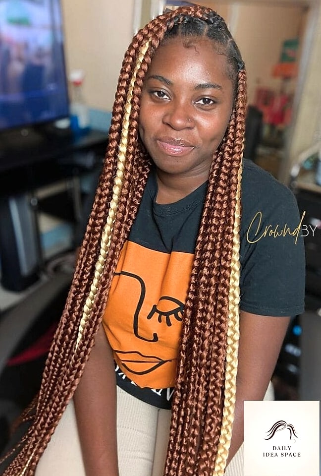 Brown and Blonde Highlighted Braids