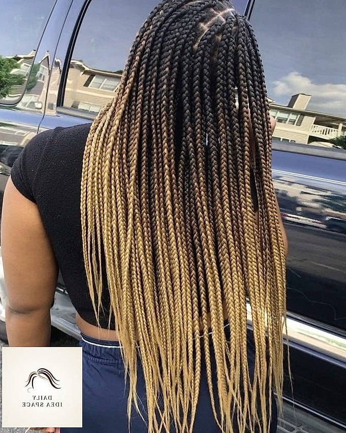 Brown Ombre Box Braids