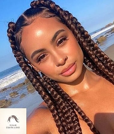 28 Jumbo Box Braids Looks You'll Want to Screenshot Immediately 27 Chocolate Brown Jumbo Braids