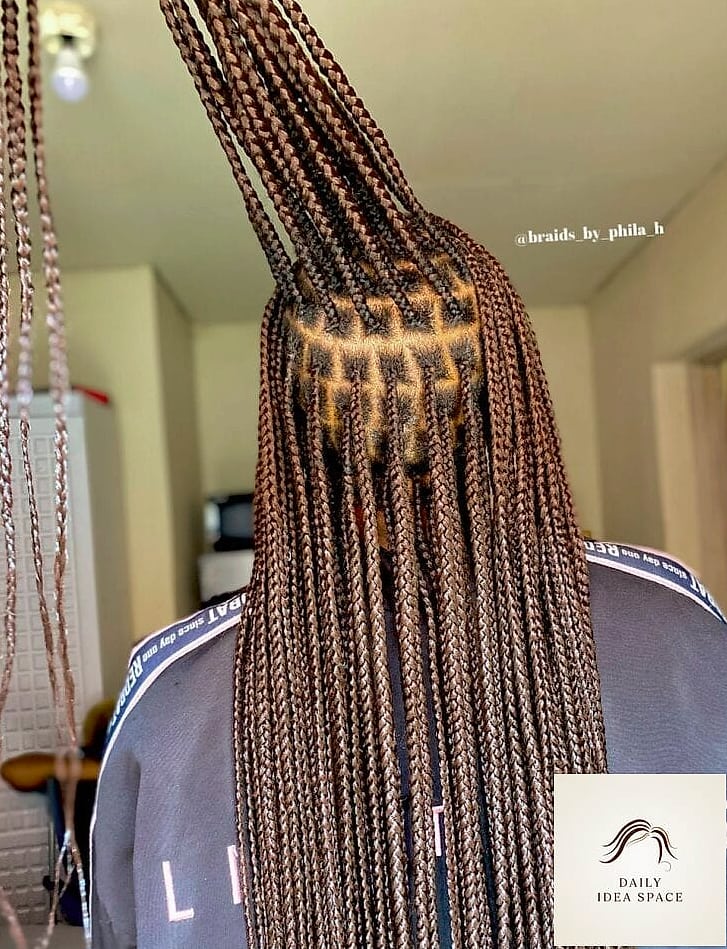 Chocolate Brown Knotless Braids