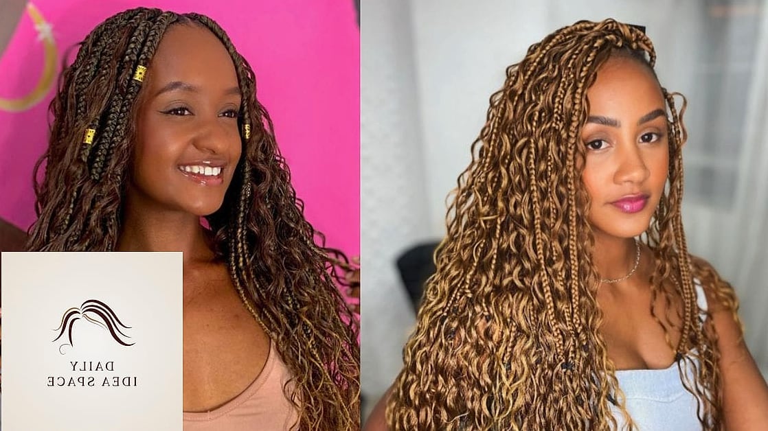 25 Trancas Afro Braids Ideas That Are Dreamy and So Inspiring 3 Chunky Bohemian Trancas