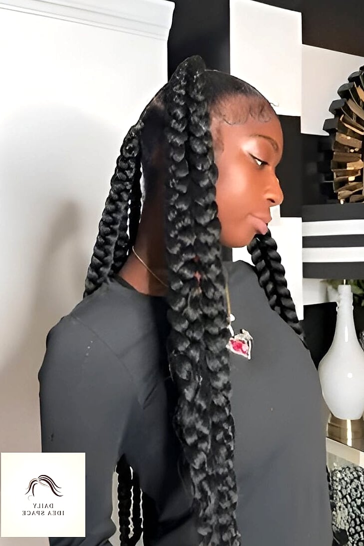 20 Jayda Wayda Braids Ideas That Are Breathtakingly Beautiful 14 Chunky Twisted Braids