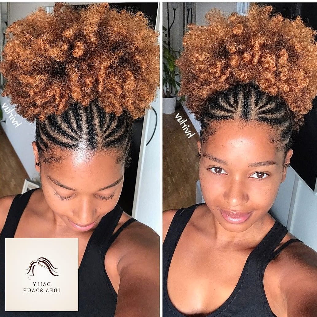 22 Cornrows Styles Ideas That Will Transform Your Look 16 Cornrows with a Puff