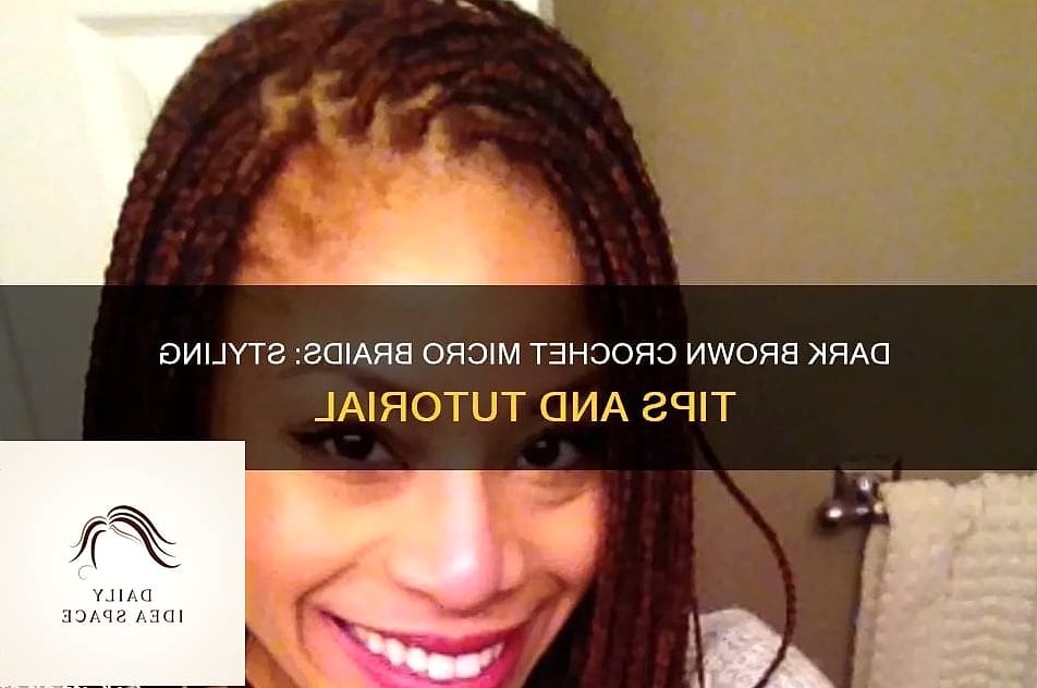 Dark Brown Micro Braids