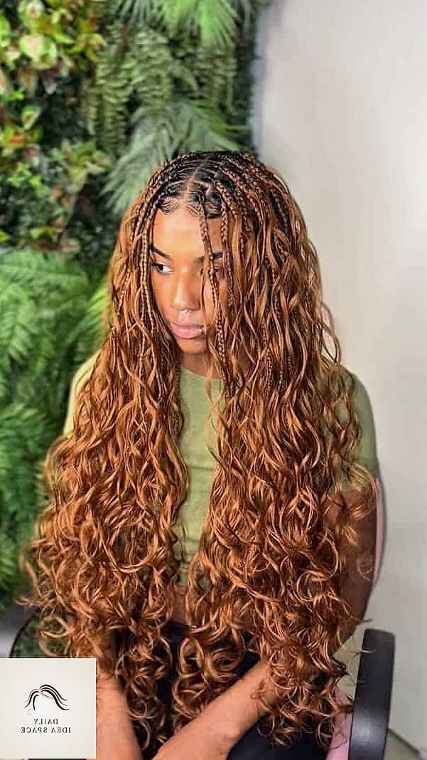 27 Boho French Curl Braids Ideas That Every Stylist Needs to See 6 Extra Long Classic Boho Box Braids