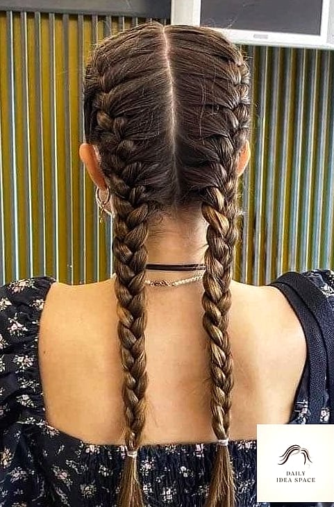 27 Hairstyles For Braids Ideas Every Woman Needs to See 7 French Braid Pigtails