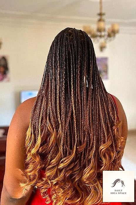 27 French Curls Braids Ideas That Every Stylist Needs to See 20 French Curls with Ombre Color