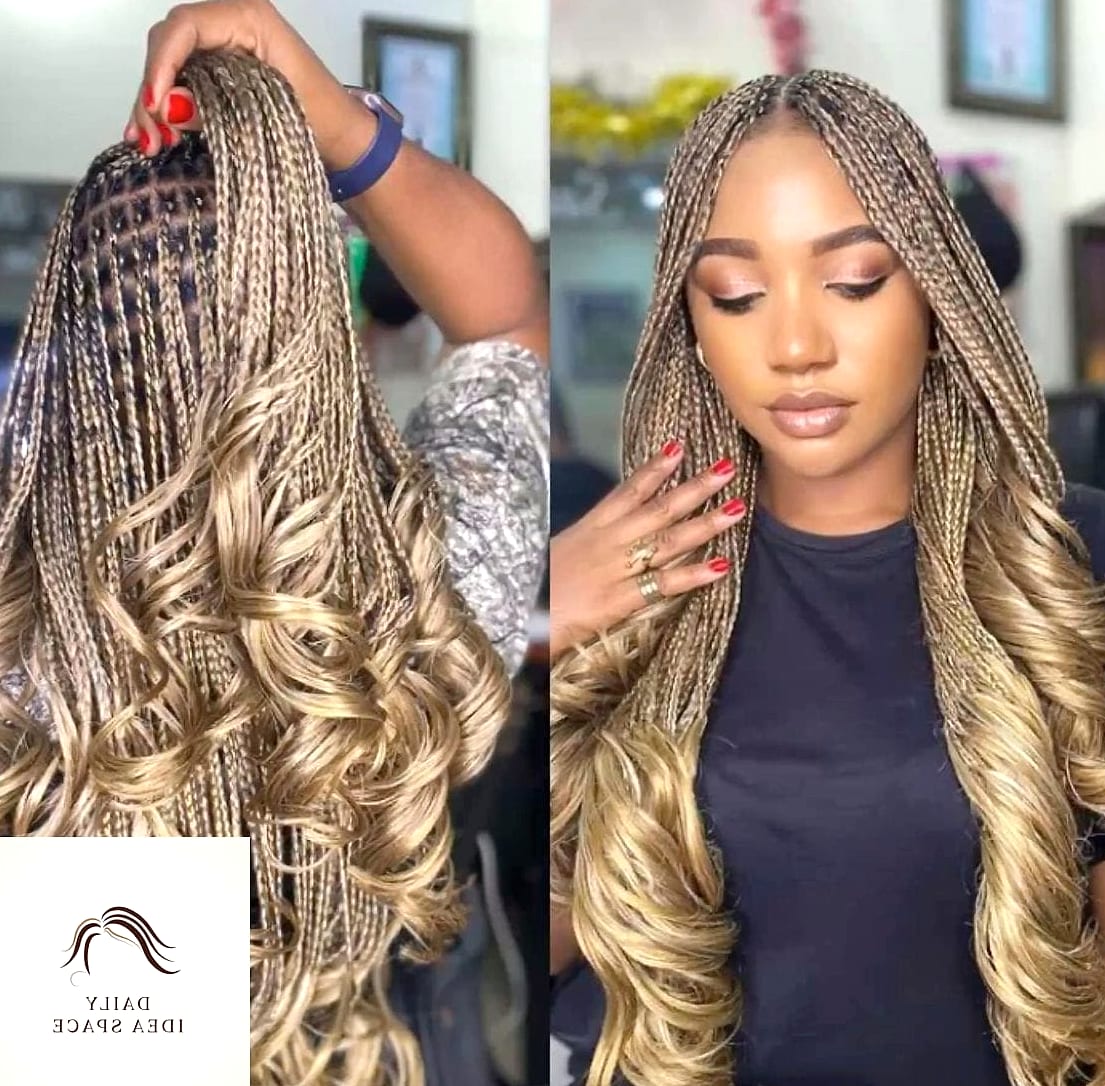 27 French Curls Braids Ideas That Every Stylist Needs to See 27 French Curls with Lowlights