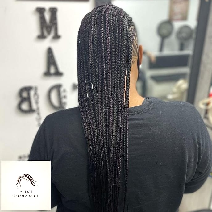 Fulani Braids with Shaved Sides