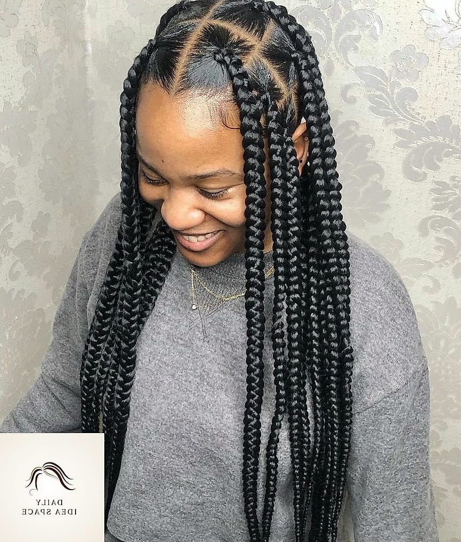 28 Jumbo Box Braids Looks You'll Want to Screenshot Immediately 6 Jet Black Waist-Length Braids
