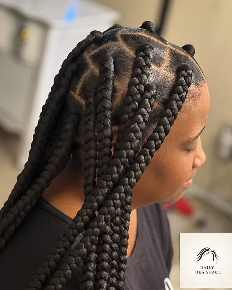 Jet Black Jumbo Braids