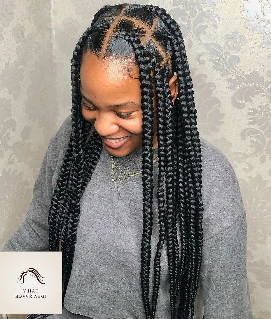 27 Hairstyles For Braids Ideas Every Woman Needs to See 26 Jumbo Box Braids