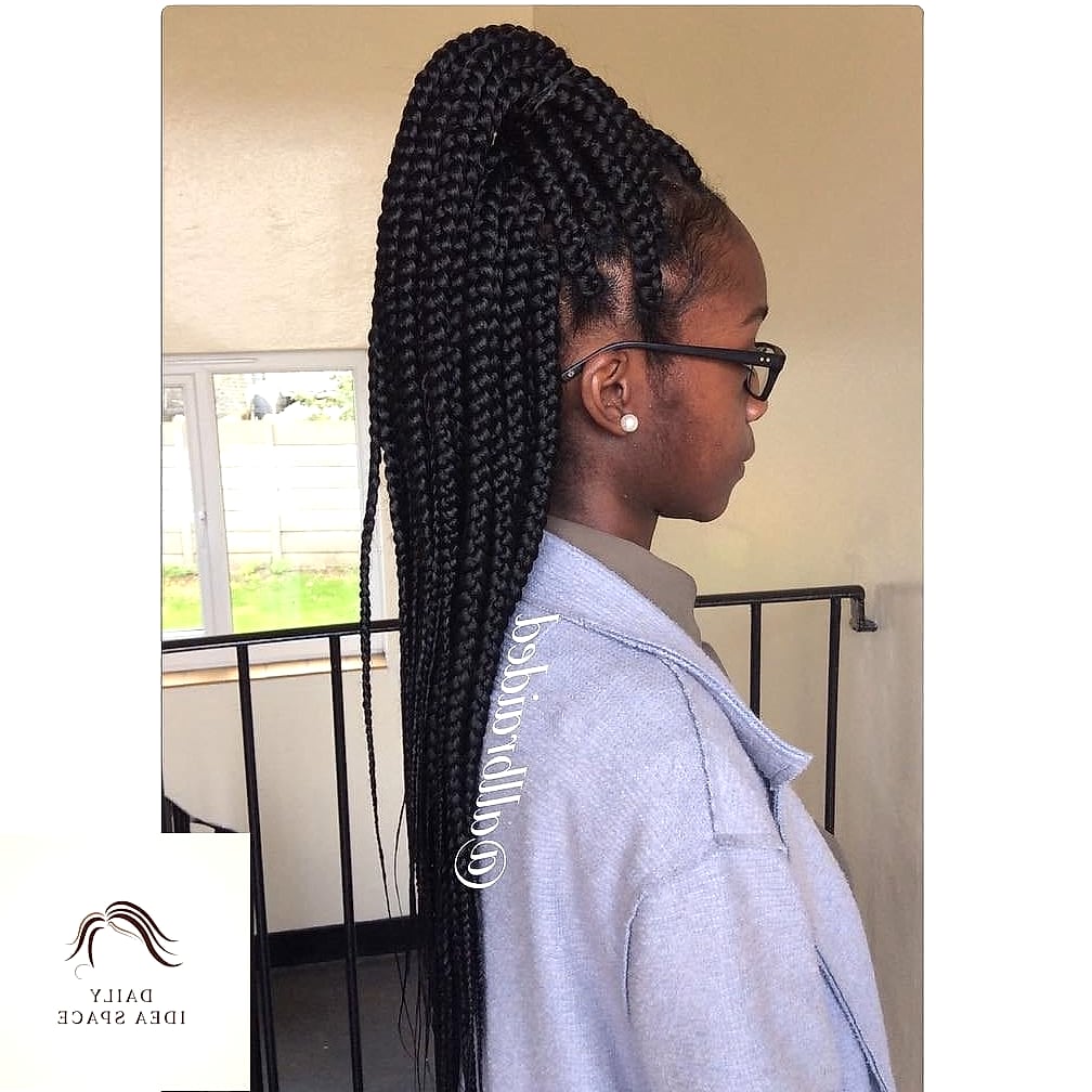 28 Jumbo Box Braids Looks You'll Want to Screenshot Immediately 11 Jumbo Braids in a High Ponytail