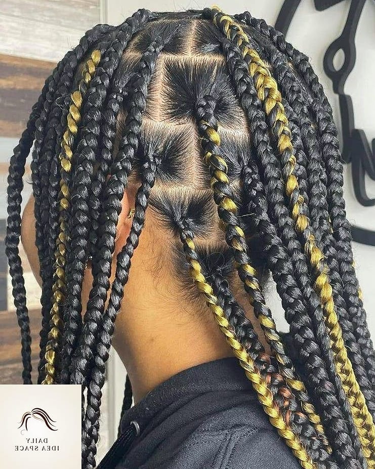 28 Jumbo Box Braids Looks You'll Want to Screenshot Immediately 23 Jumbo Braids with Highlights