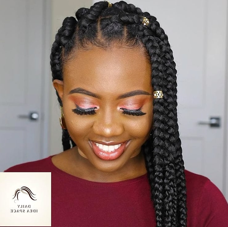 25 Trancas Afro Braids Ideas That Are Dreamy and So Inspiring 16 Jumbo Trancas