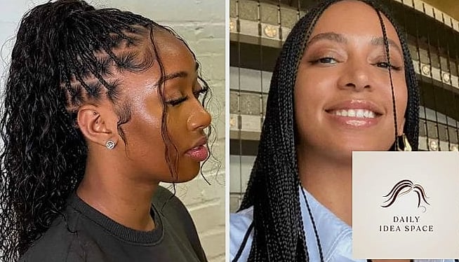 22 Two Braids Ideas That Will Transform Your Look 10 Micro Braided Pigtails
