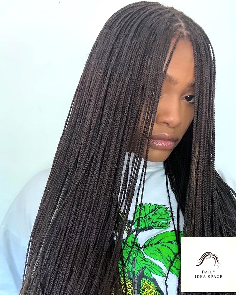 20 Braids For Black Hair Ideas That Are Breathtakingly Beautiful 11 Micro Braids with a Glossy Finish