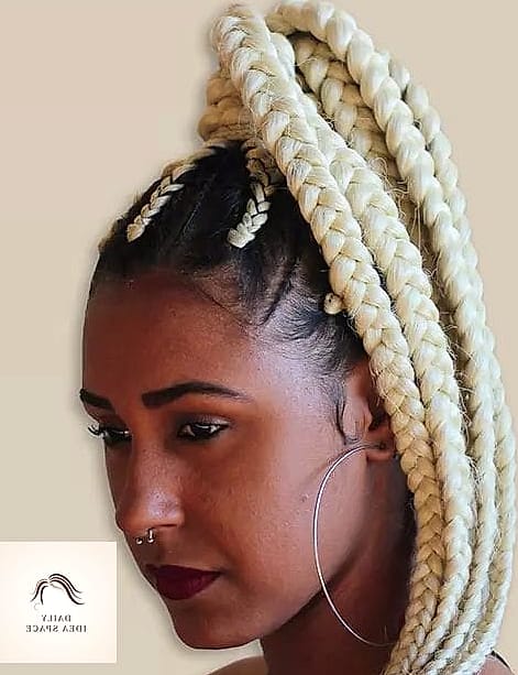 28 Jumbo Box Braids Looks You'll Want to Screenshot Immediately 15 Platinum Blonde Jumbo Braids