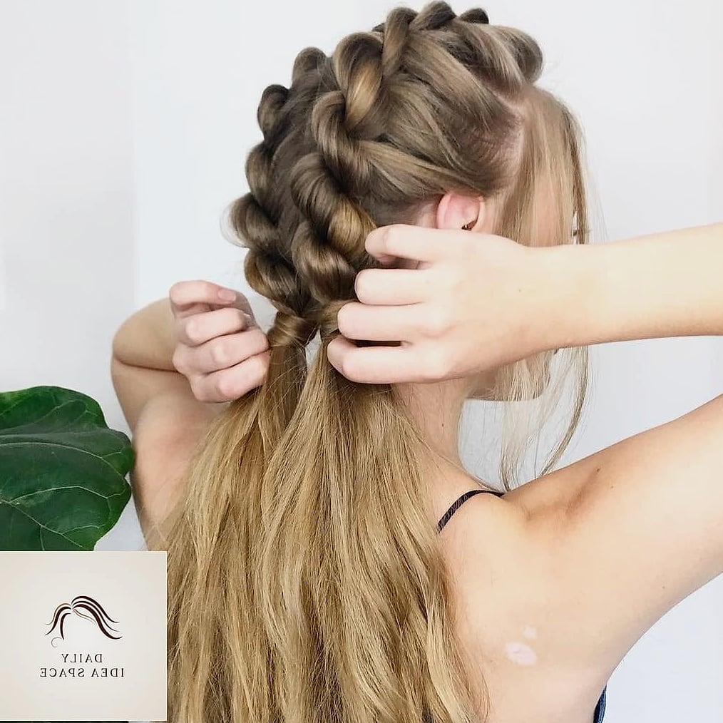 22 Quick Braided Hairstyles Ideas That Will Transform Your Look 10 Rope Braid