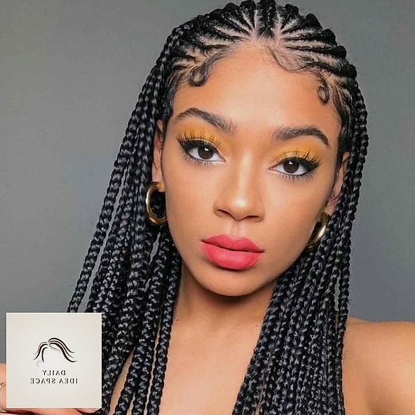 25 Trancas Afro Braids Ideas That Are Dreamy and So Inspiring 19 Trancas with Highlighted Face-Framing Pieces