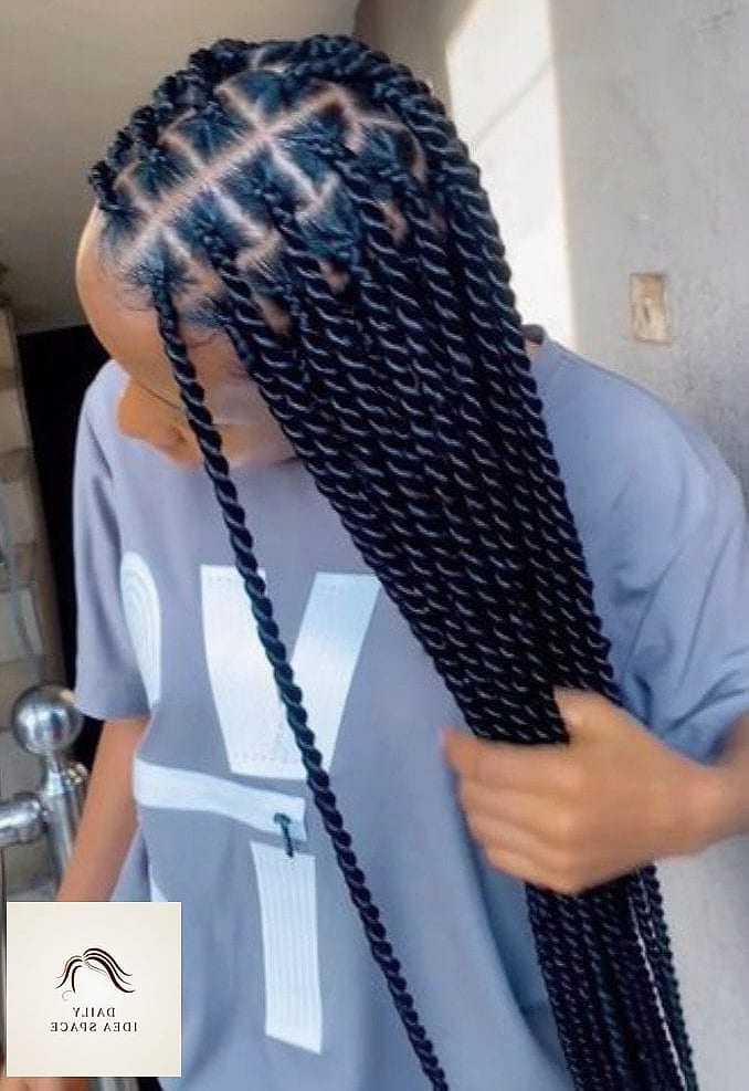 28 Hair Braids Looks You'll Want to Screenshot Immediately 27 Twisted Braid Ponytail