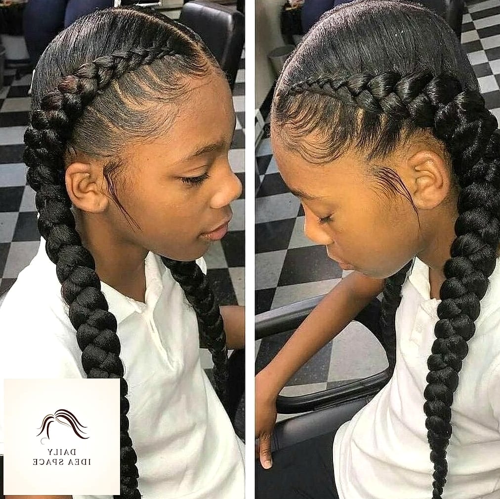 22 Two Braids Hairstyle Ideas That Will Transform Your Look 21 Two Braids with Slicked Baby Hairs