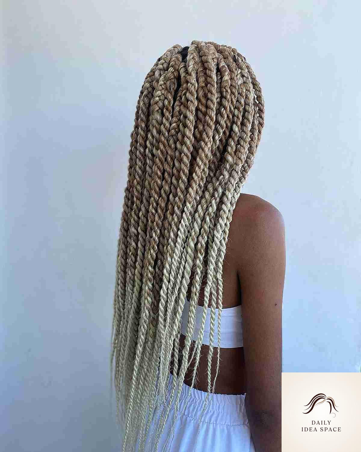 Two-Tone Blonde Twist Braids