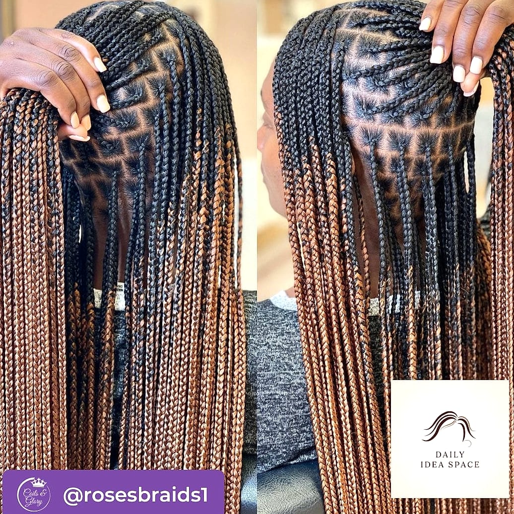 25 Tranças Box Braids Ideas That Are Going Viral on Pinterest Right Now 21 Two-Tone Color Block Box Braids